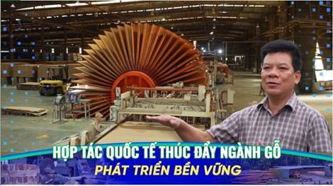Hợp tác quốc tế thúc đẩy ngành gỗ phát triển bền vững